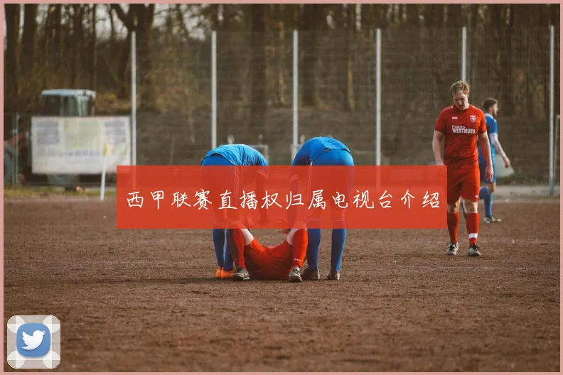 西甲联赛直播权归属电视台介绍