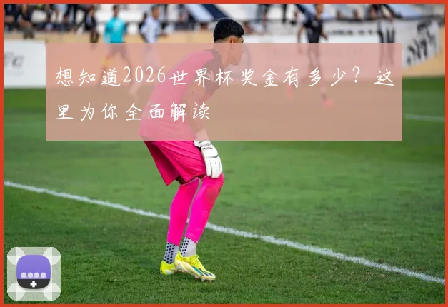 想知道2026世界杯奖金有多少？这里为你全面解读