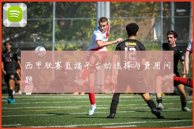 西甲联赛直播平台的选择与费用问题